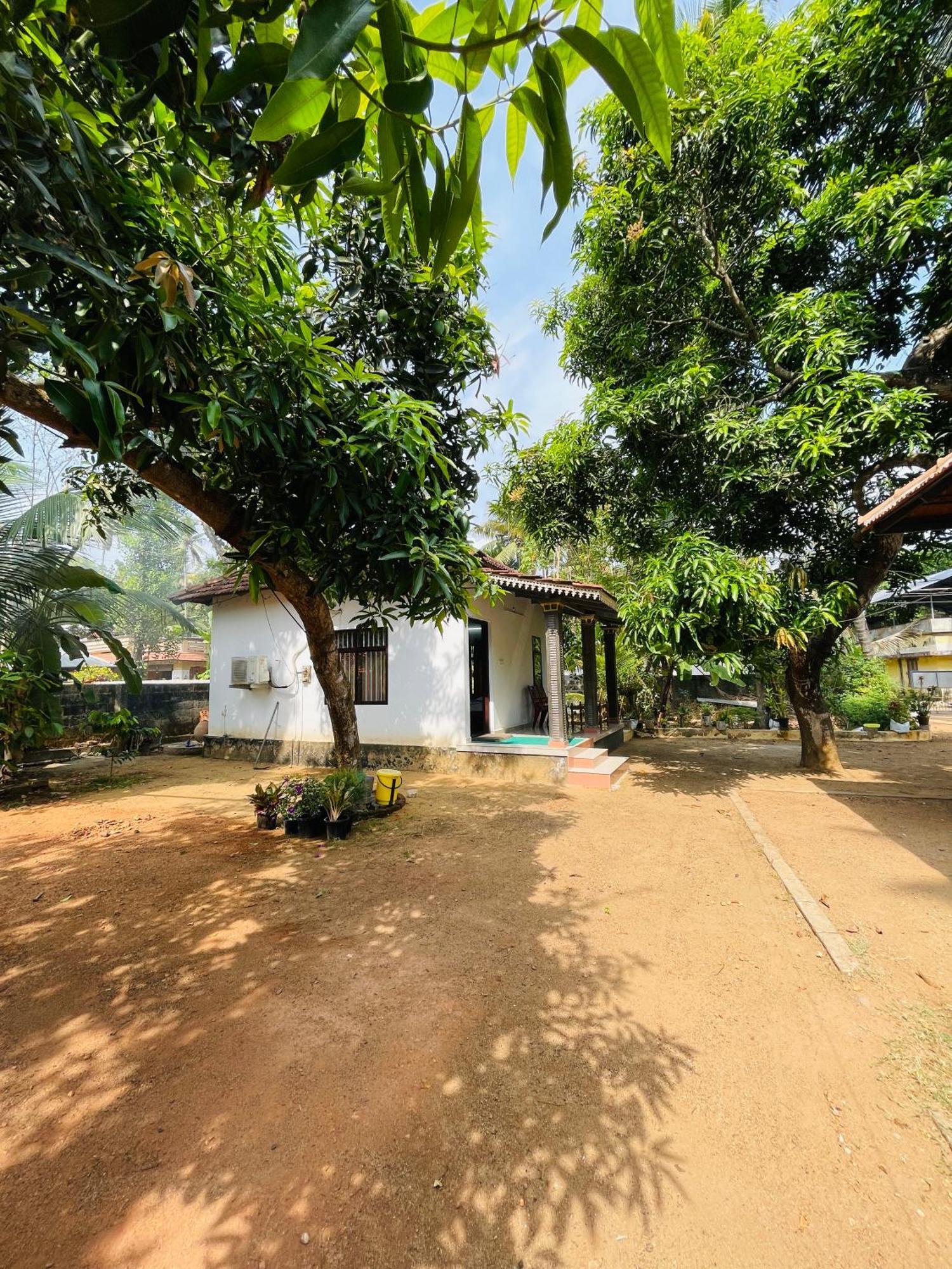 The Munroe Villagio Homey Mundrothuruth Rom bilde